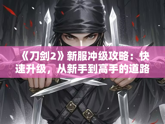 《刀剑2》新服冲级攻略：快速升级，从新手到高手的道路