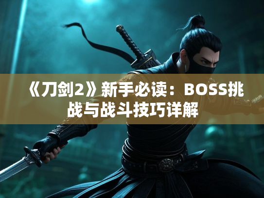 《刀剑2》新手必读：BOSS挑战与战斗技巧详解