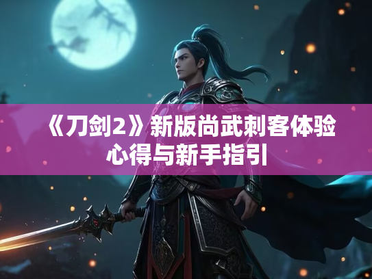 《刀剑2》新版尚武刺客体验心得与新手指引